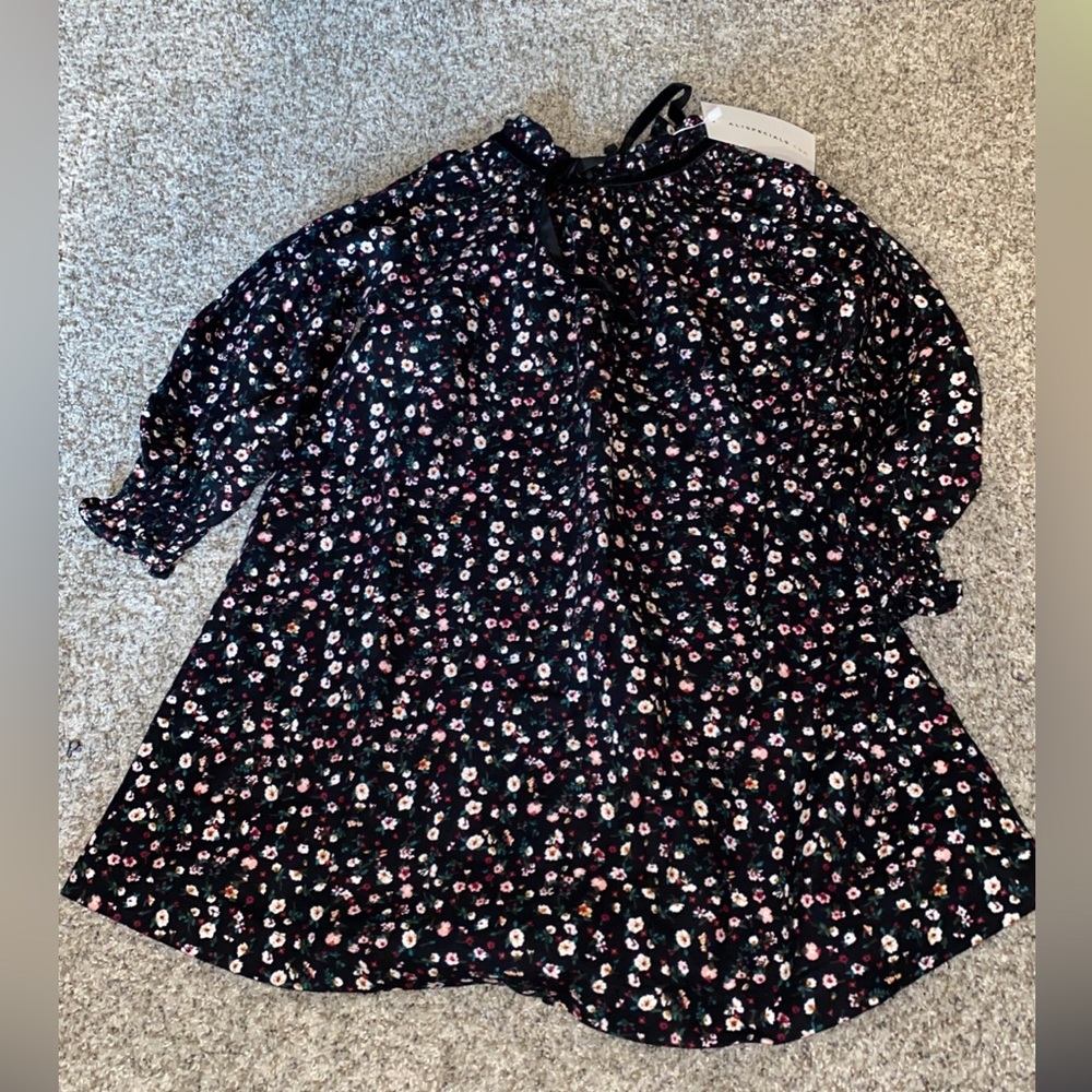 Dress Toddler Girl Floral Black Size 3T NEW Tags